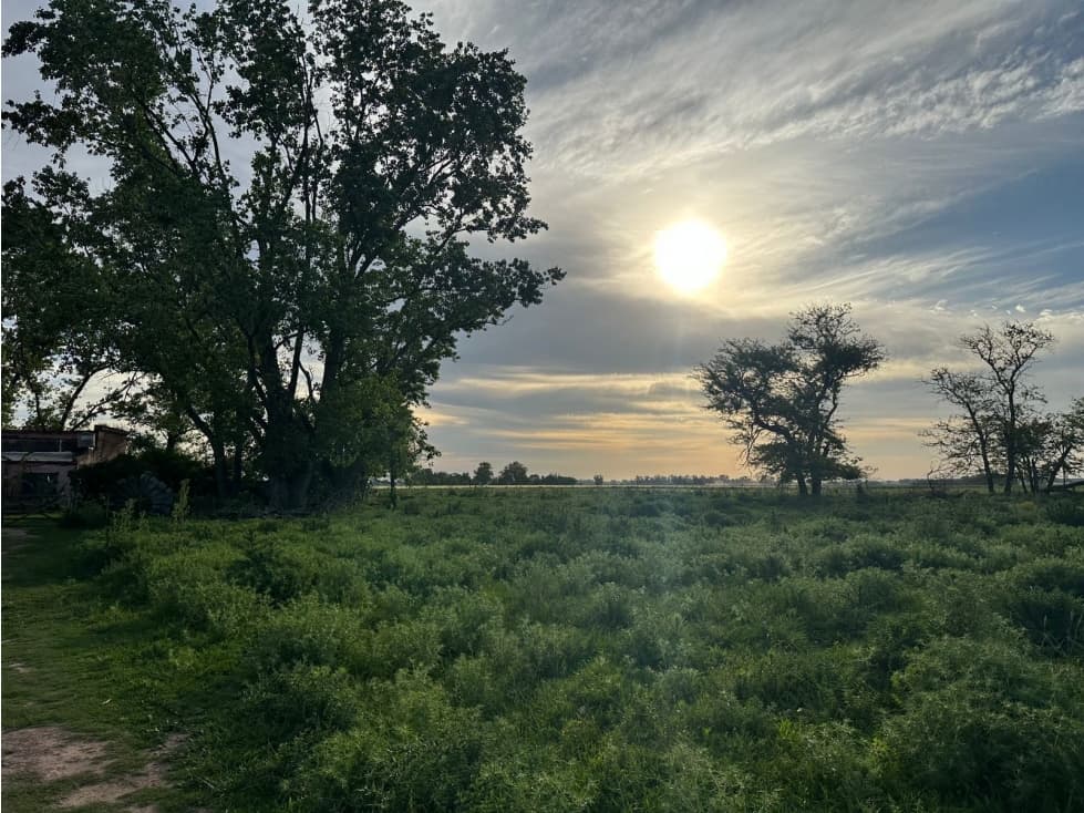 FRACCIÓN, CAMPO EN CARLOS KEEN LUJÁN VENTA - 1