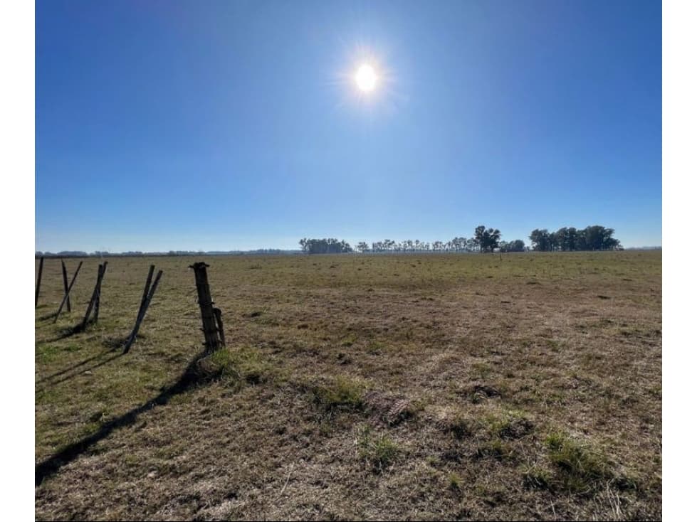 FRACCION DE CAMPO VENTA LUJÁN - 1