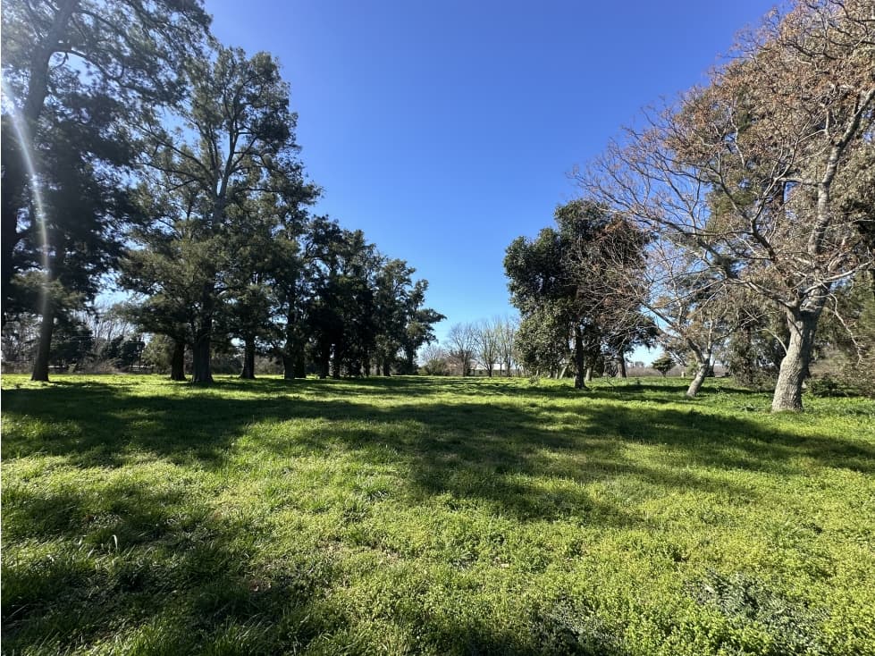 FRACCIÓN CAMPO VENTA CARLOS KEEN LUJÁN - 1