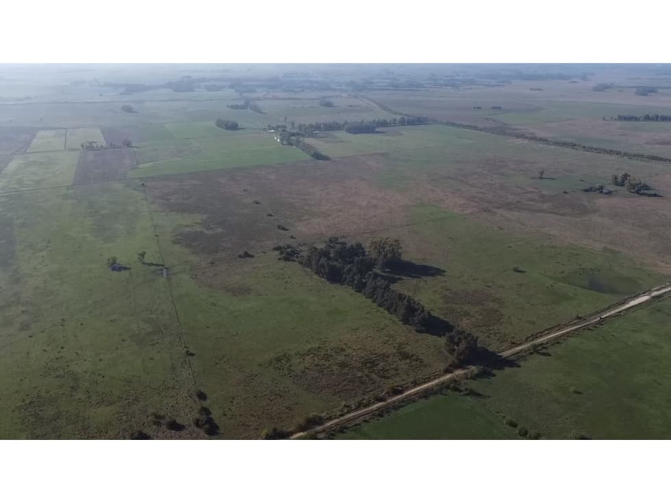 Campo de 52,6 has en venta cercano a plomer - Gral Las Heras - 1