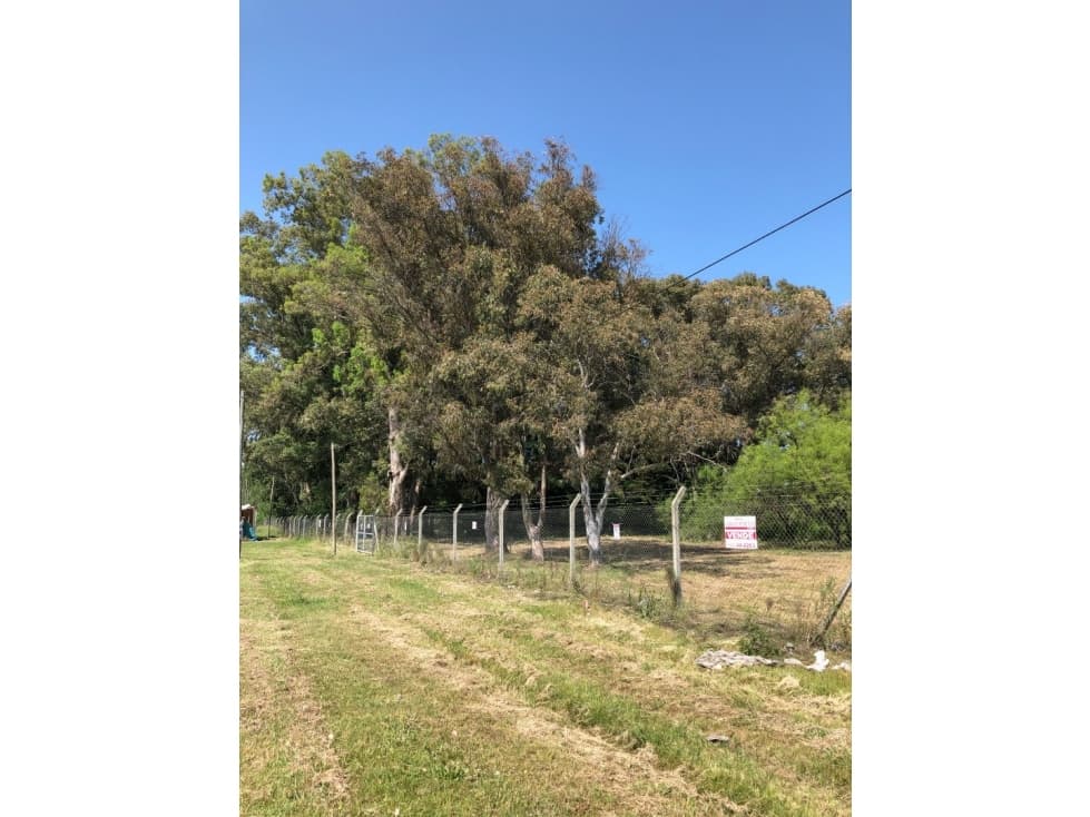 Lote de 2.643 m2 sobre Ruta 215 (acceso a Brandsen) - 1