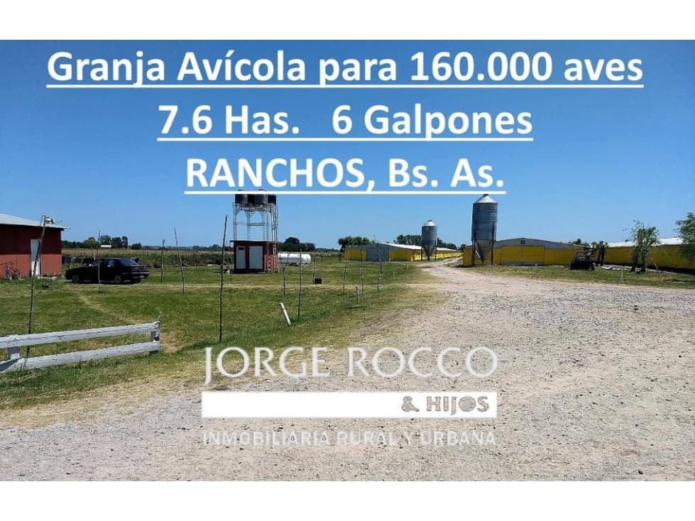 Granja Avícola, capacidad para 160.000 Pollos - 1