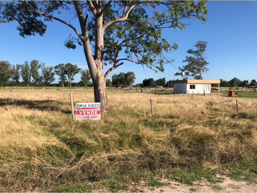 2 lotes quinta de 40x47 cada uno (se venden juntos o separados) - 1