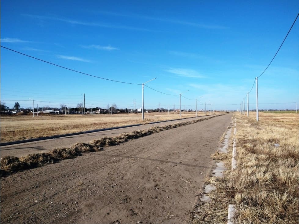 Lotes en René Favaloro - 1