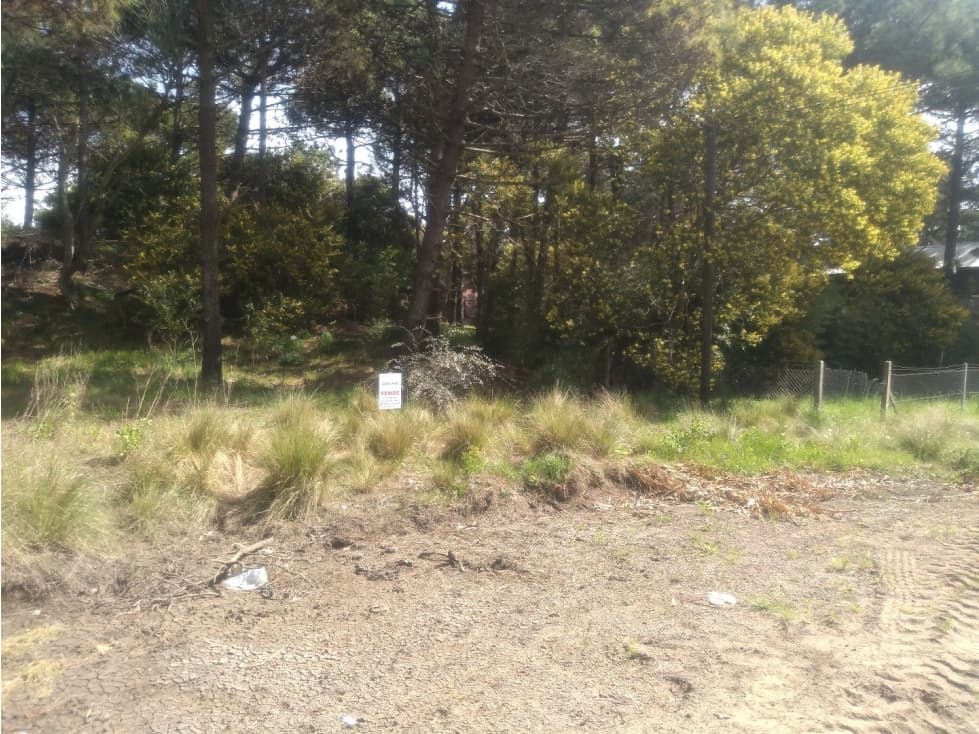 hermoso lote en lomas de valeria - 1