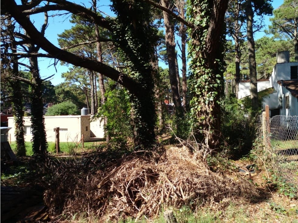 VALERIA DEL MAR LOTE en El Cano y Balboa - 1