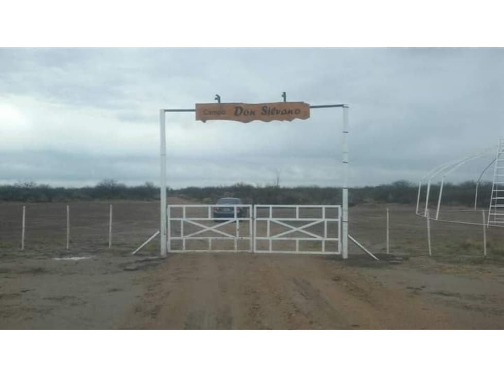 VENDO CAMPO 300 HECTAREAS RUTA 143 GENERAL ALVEAR MENDOZA - 1