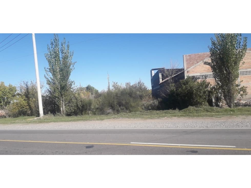 TERRENO APTO PARA LOTEO SAN RAFAEL MENDOZA - 1