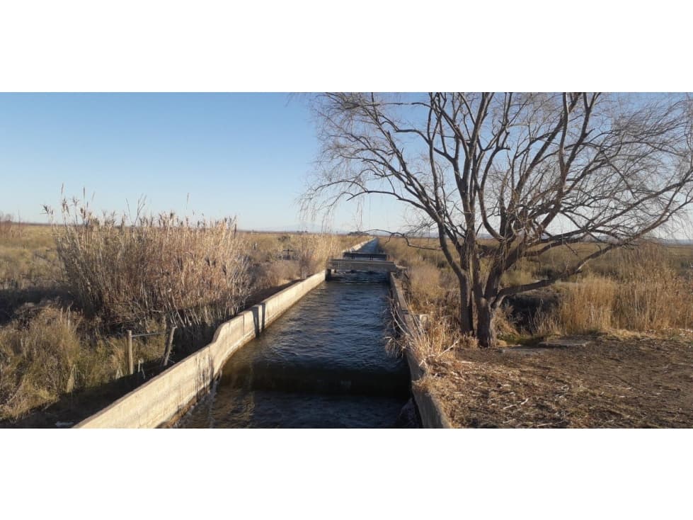 VENDO IMPORTANTE FINCA SAN RAFAEL MENDOZA - 1