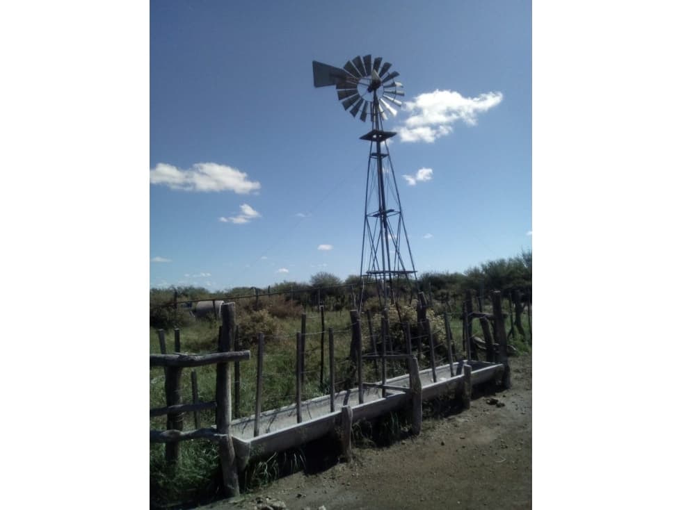 VENDO CAMPO GANADERO EN CARMENSA GENERAL ALVEAR MENDOZA - 1