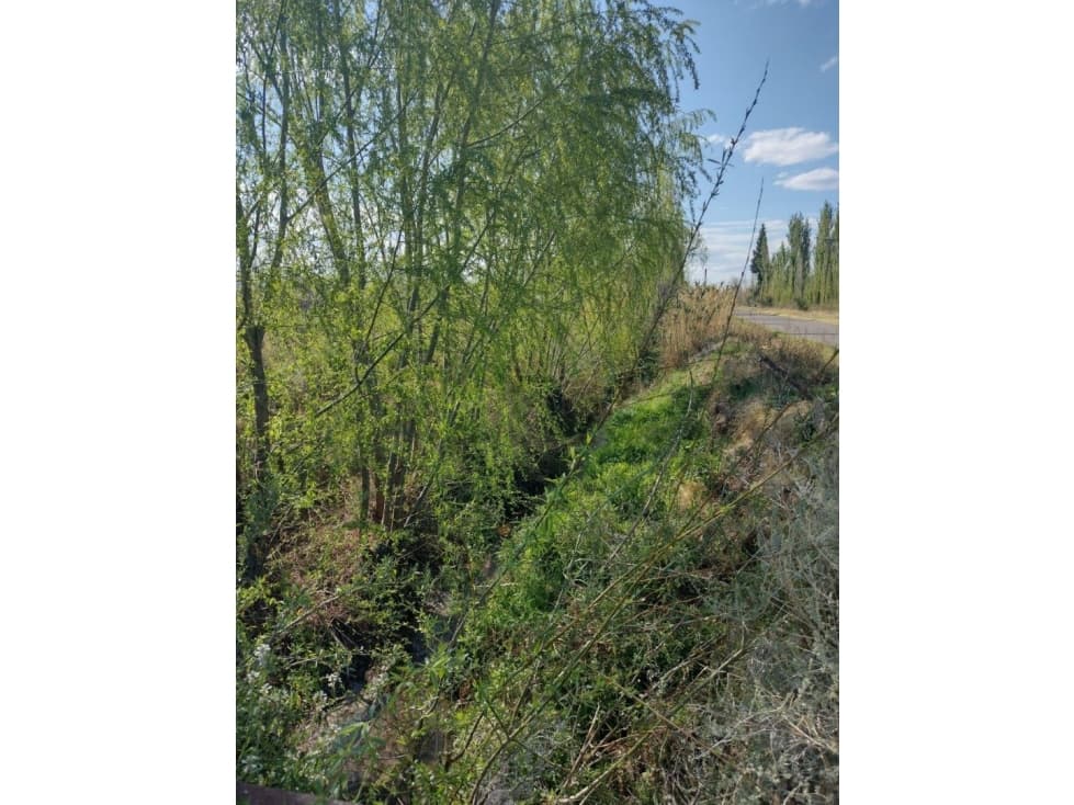 VENDO FINCA 5.5 HECTAREAS A TRANQUERA CERRADA - 1