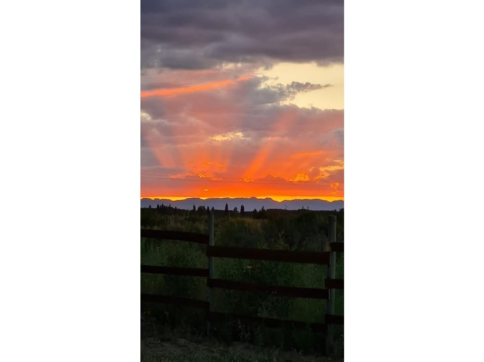 VENDO UNA HECTAREA LAS PAREDES - 1