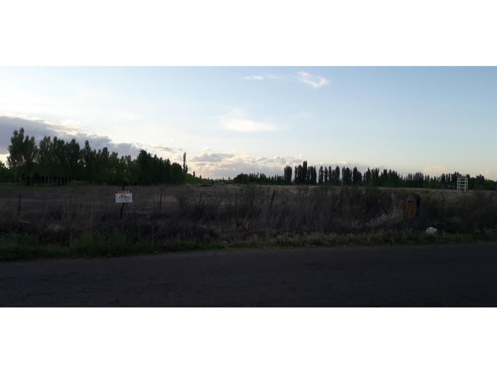 VENDO LOTE CUADRO BENEGAS - 1