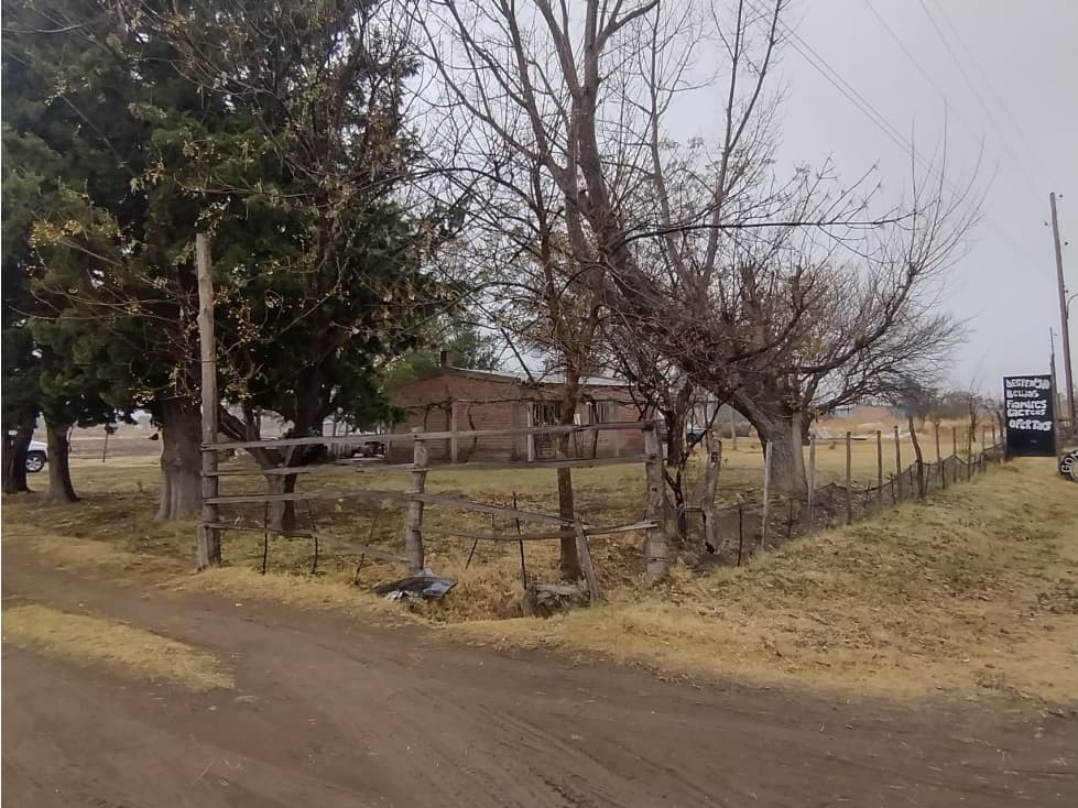 VENDO FINCA 5 HECTAREAS SAN RAFAEL MENDOZA - 1