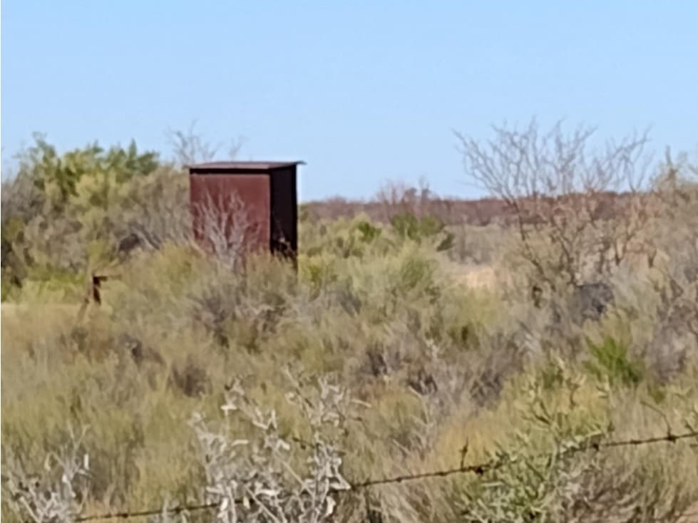 VENDO FINCA EN BLANCO DE 64 HECTAREAS EN SAN RAFAEL MENDOZA - 1