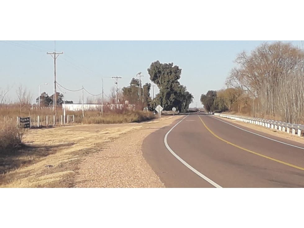 VENDO 7 HECTAREAS EN SAN RAFAEL MENDOZA - 1