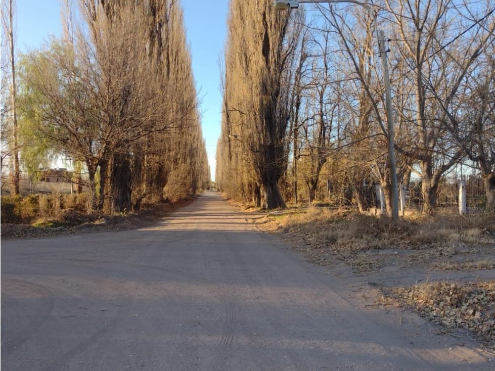 VENDO 5 HECTAREAS CUADRO BENEGAS SAN RAFAEL - 1