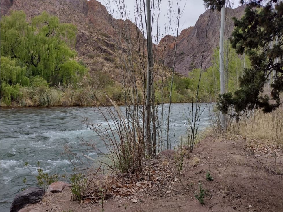 VALLE GRANDE, CAÑÓN DEL ATUEL LOTE - 1