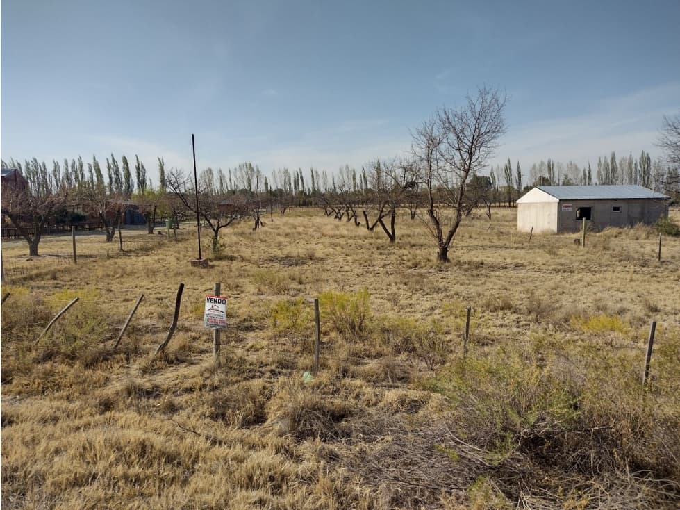 VENDO LOTE 6000 METROS SAN RAFAEL - 1