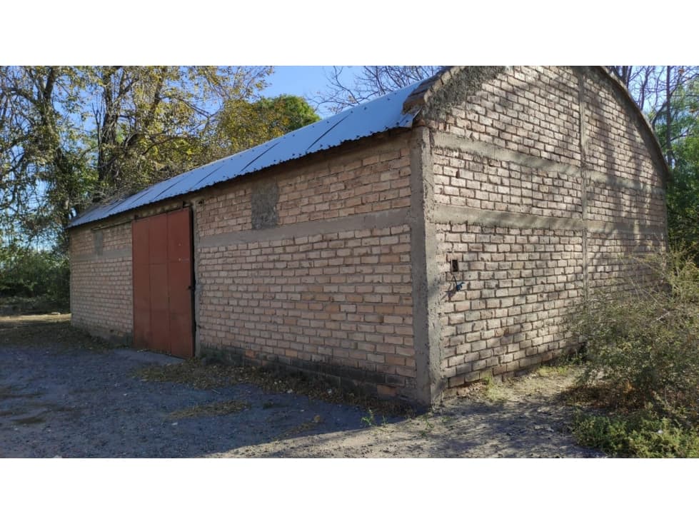 VENTA DE FINCA 25 HAS EN CALLE NUEVA GIL, LA CENTRAL- RIVADAVIA. - 1