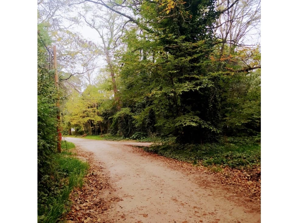 Reserva Forestal El Tejado - Lote de 535 m2 u$s 34.000 - 1