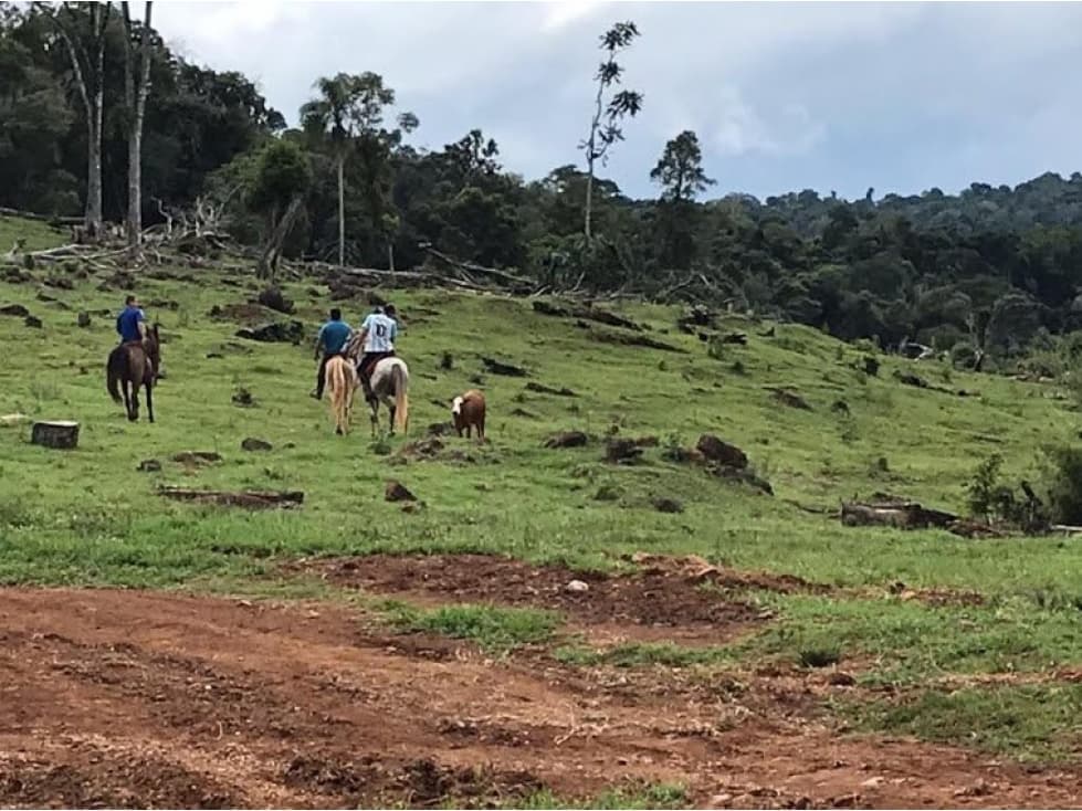 Ruta 18- B. de Irigoyen-Mnes - 1