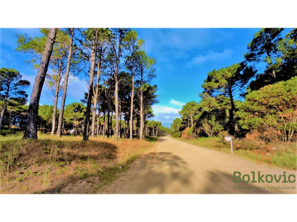 PINAMAR - LA FRONTERA - LOTE A LA VENTA. - 1