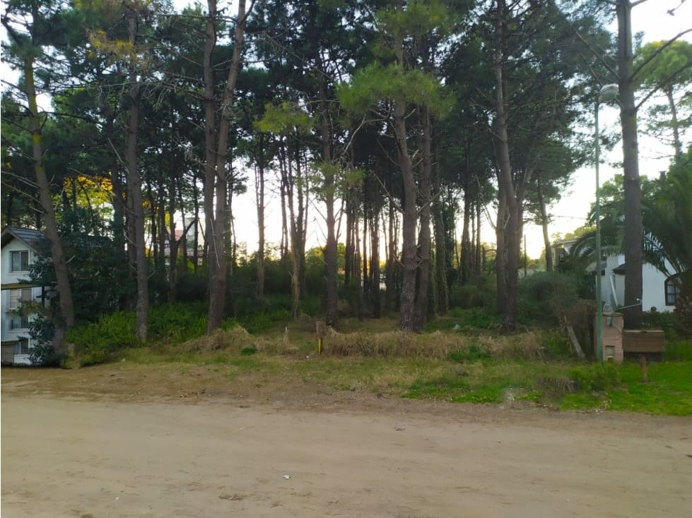 LOTE MULTIFAMILIAR - 1