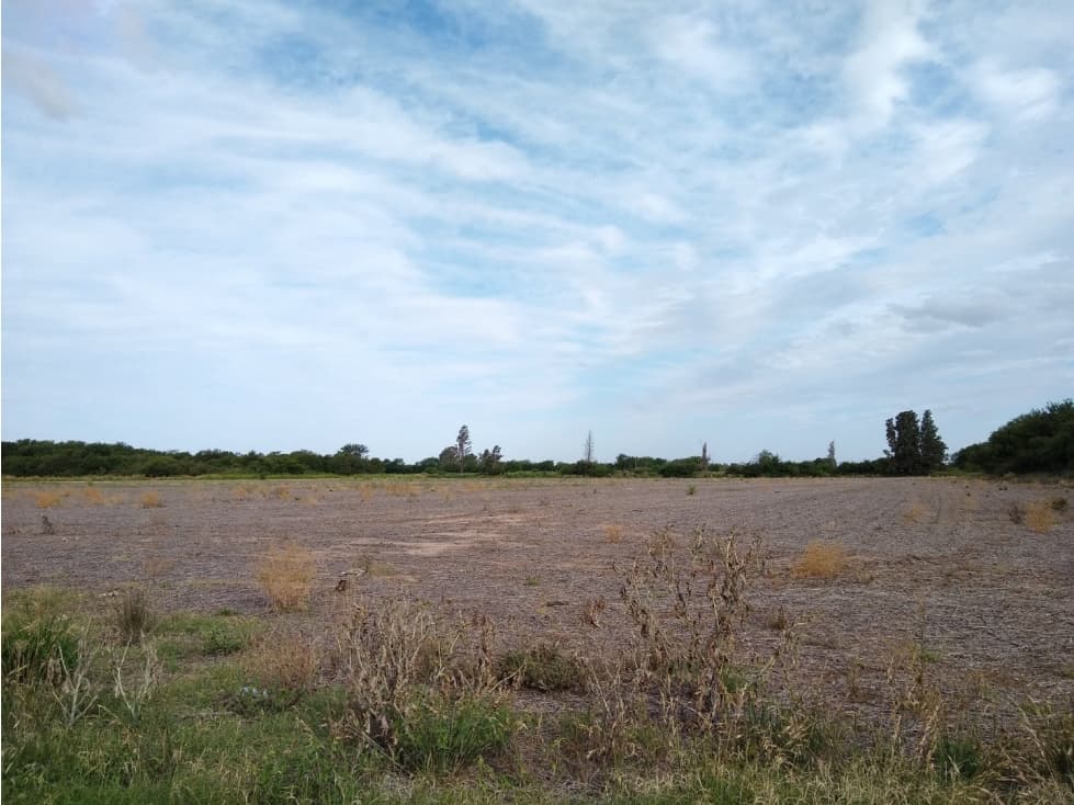 VENTA- 17.7 HECTAREAS- COLONIA CAROYA - 1