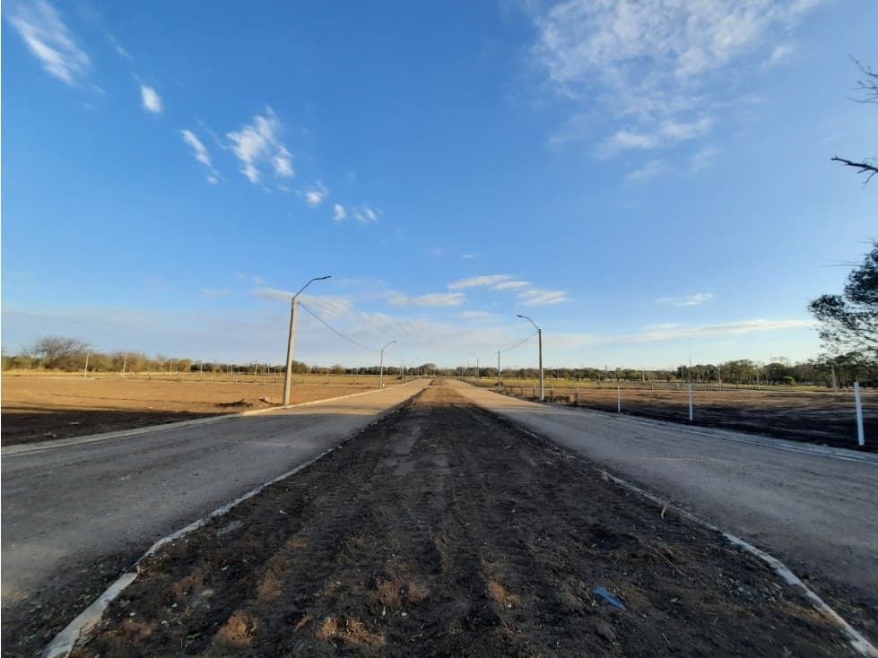 VENTA-LOTES-SINSACATE-LOS ALGARROBOS - 1