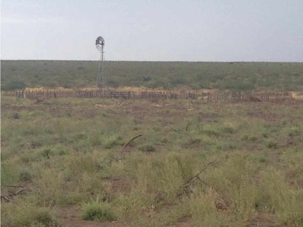 ALQUILO CAMPO DE CRIA DE 2677 HECTAREAS EN PUELCHES LA PAMPA - 1