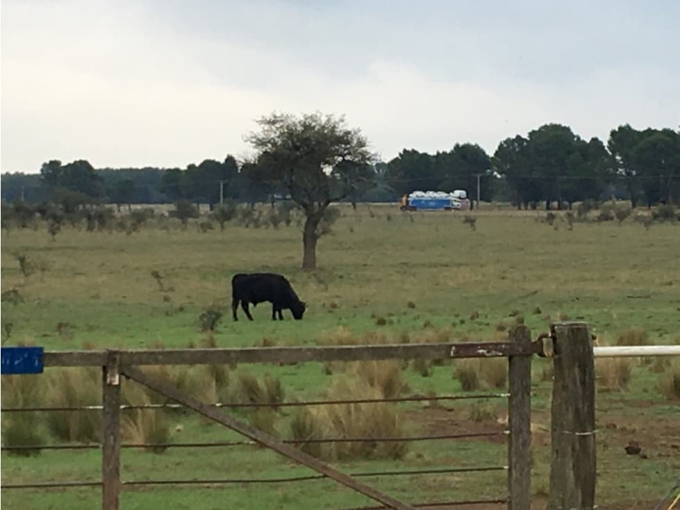 VENDO CAMPO DE 2010 HECTAREAS SOBRE RUTA 152 PROXIMO A GENERAL ACHA - 1