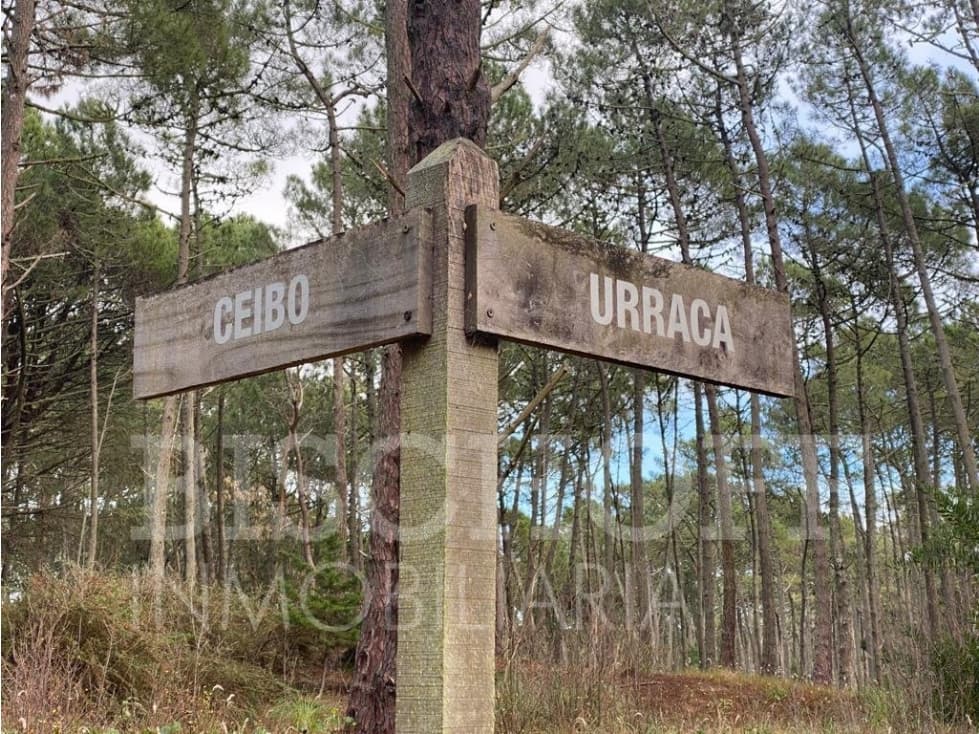 LOTE EN CARILO BARRIO ZORZAL CON PROYECTO Y PLANOS APROBADOS - 1