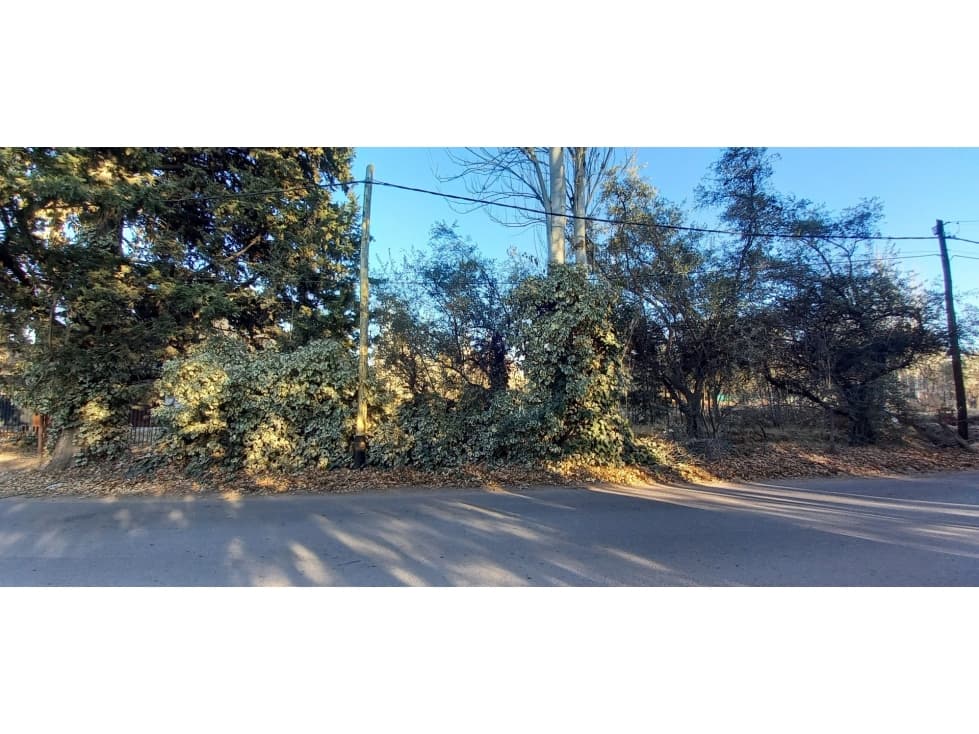 Lote Calle Edmundo Correas Chacras de Coria Lujan de Cuyo - 1