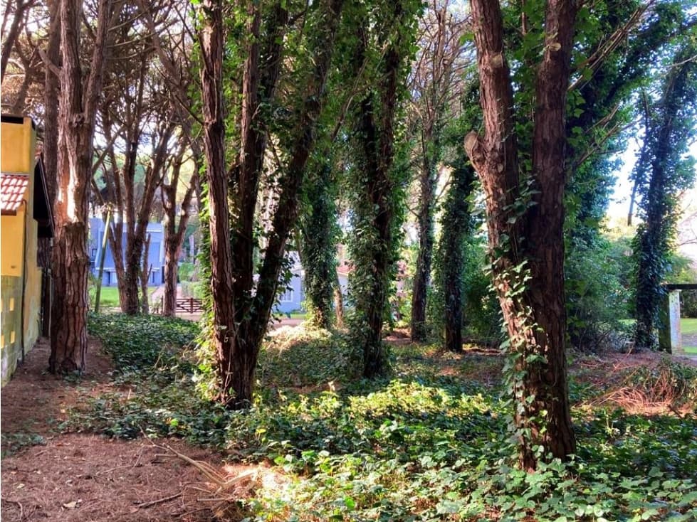 VENTA LOTE PINAMAR CENTRO - 1