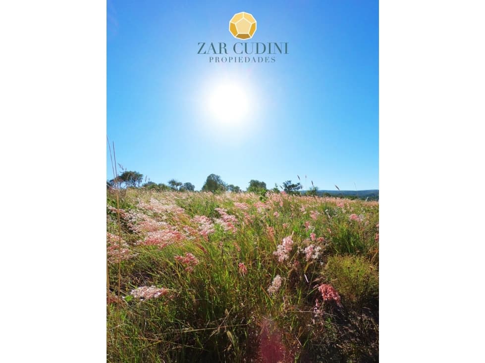 VENTA LOTE CÓRDOBA TANTI BARRIO CERRADO CHACRAS DE LA PRIMAVERA - 1