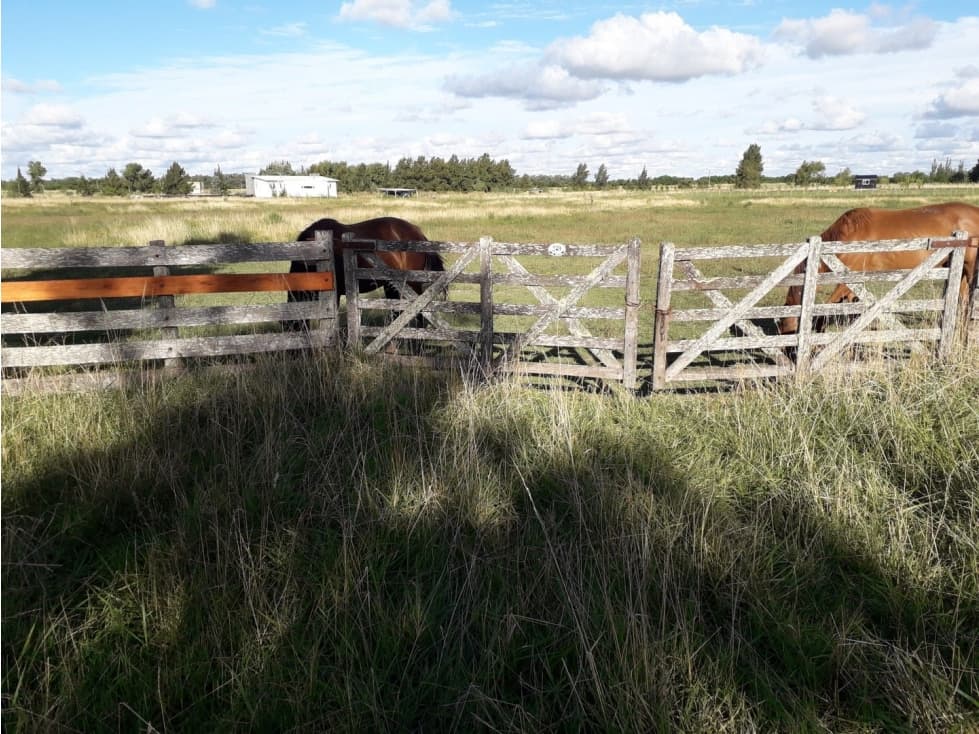 Chacra de 1.6 has en Barrio de Chacras Malvinas - Brandsen - 1