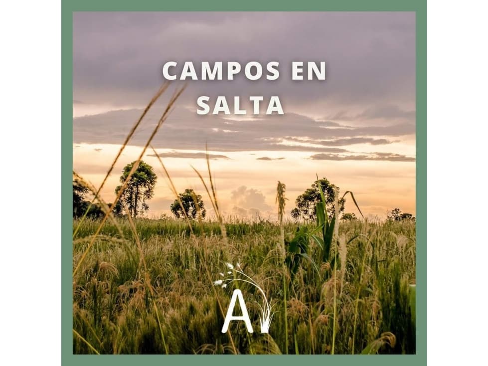 VENTA DE CAMPOS EN SALTA - CONSULTANOS - 1