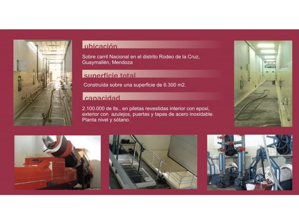 BODEGA 2.100.000 LTS EN VENTA - RODEO DE LA CRUZ, GUAYMALLEN - 1