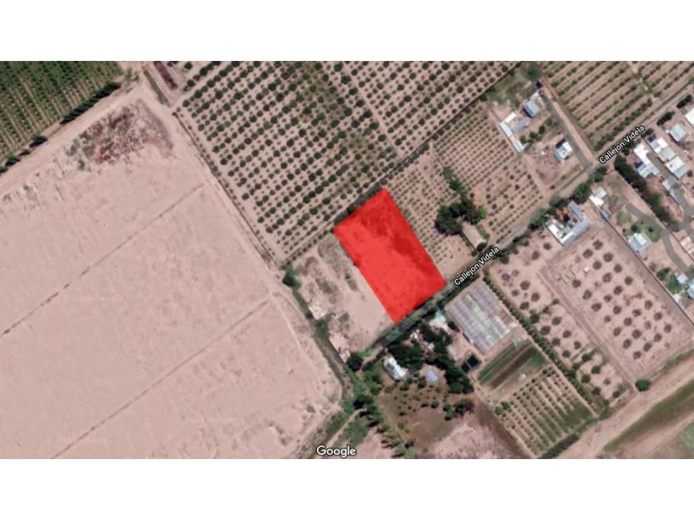 TERRENO 5000 M2 EN VENTA - RODEO DEL MEDIO - MAIPU - 1