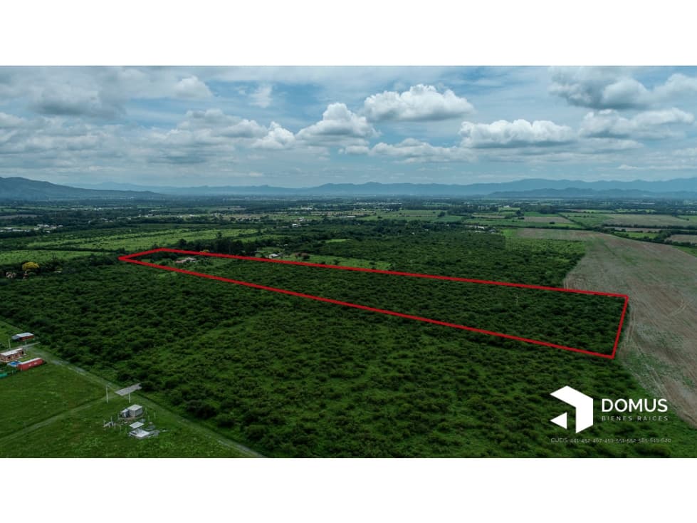VENTA 12 HECTAREAS EN CAMPO QUIJANO - 1