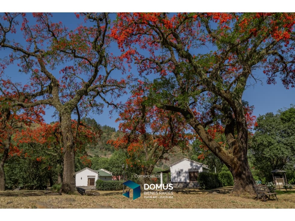 VENTA COMPLEJO DE CABAÑAS RIO BLANCO (CAMPO QUIJANO) - 1