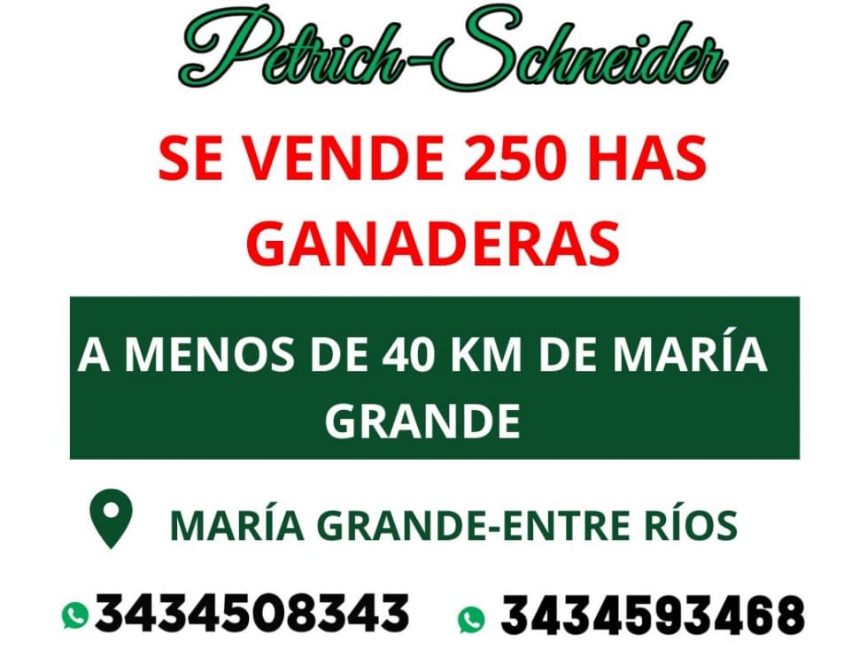 Se venden 250 has ganaderas a 40 km de María Grande.Entre Ríos - 1
