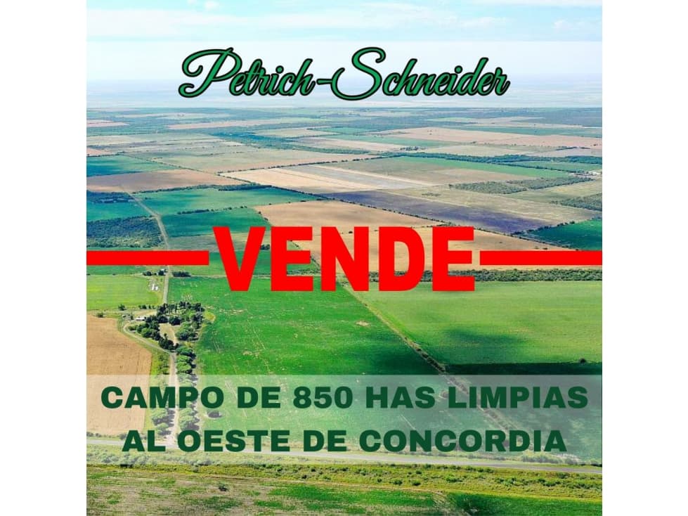 Se vende campo al oeste de Concordia Entre Ríos - 1