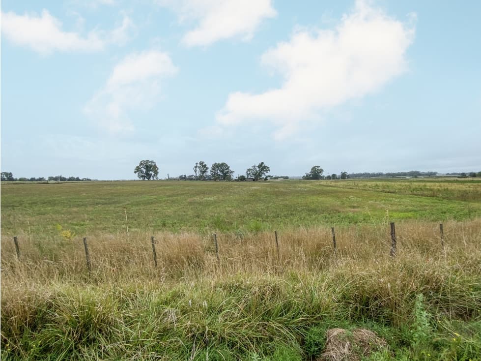 Lotes en venta de 4214 m2 - 1