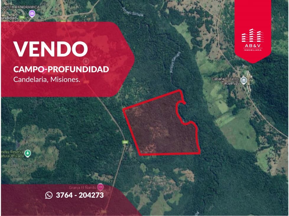 VENDO CAMPO EN PROFUNDIDAD - CANDELARIA - MISIONES - SOBRE ARROYO - 1