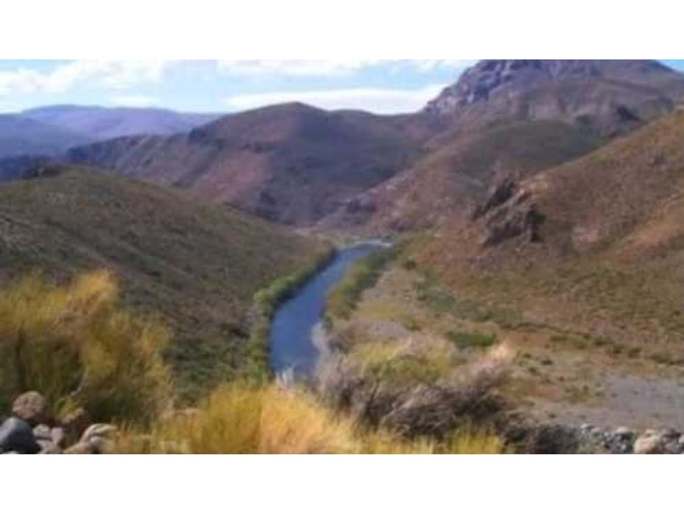 CAMPO 10.000 HECTAREAS, MIXTO NEUQUEN, ARGENTINA - 1