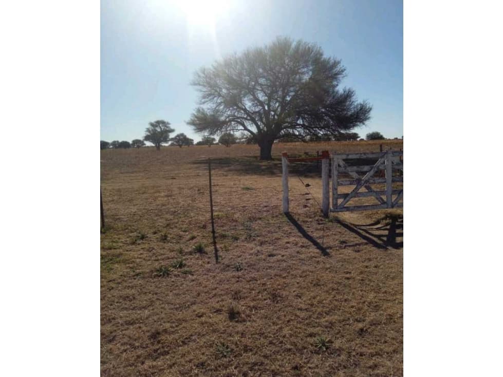 CAMPO 140 HAS, VILLA MERCEDES, SAN LUIS, ARGENTINA - 1