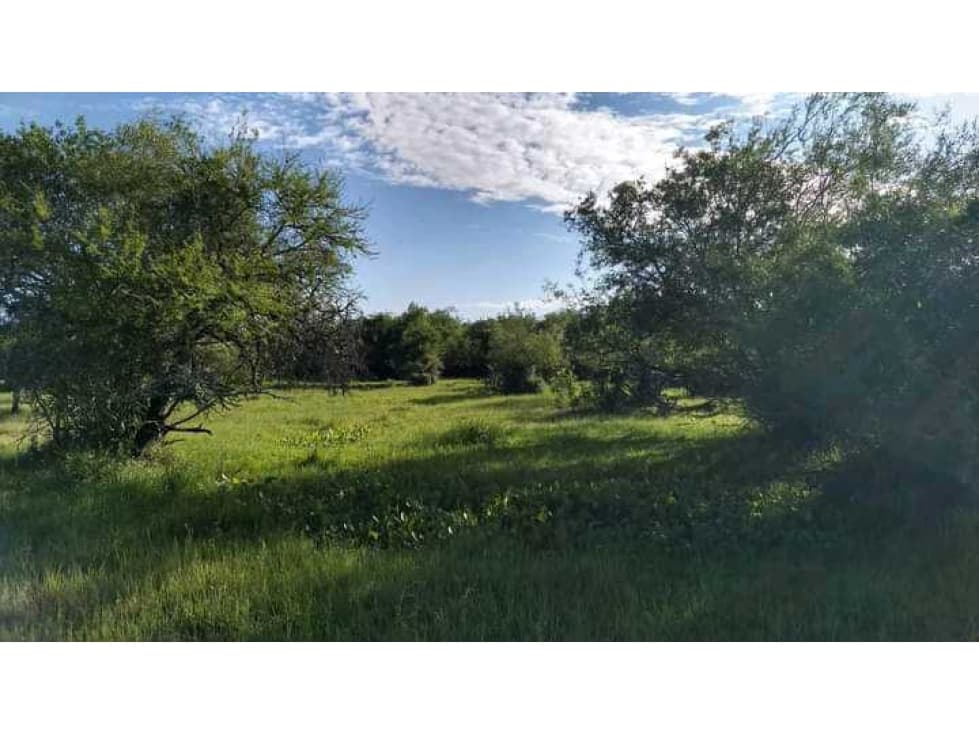 CAMPO CONCORDIA 343 HAS, ENTRE RIOS,ARGENTINA - 1