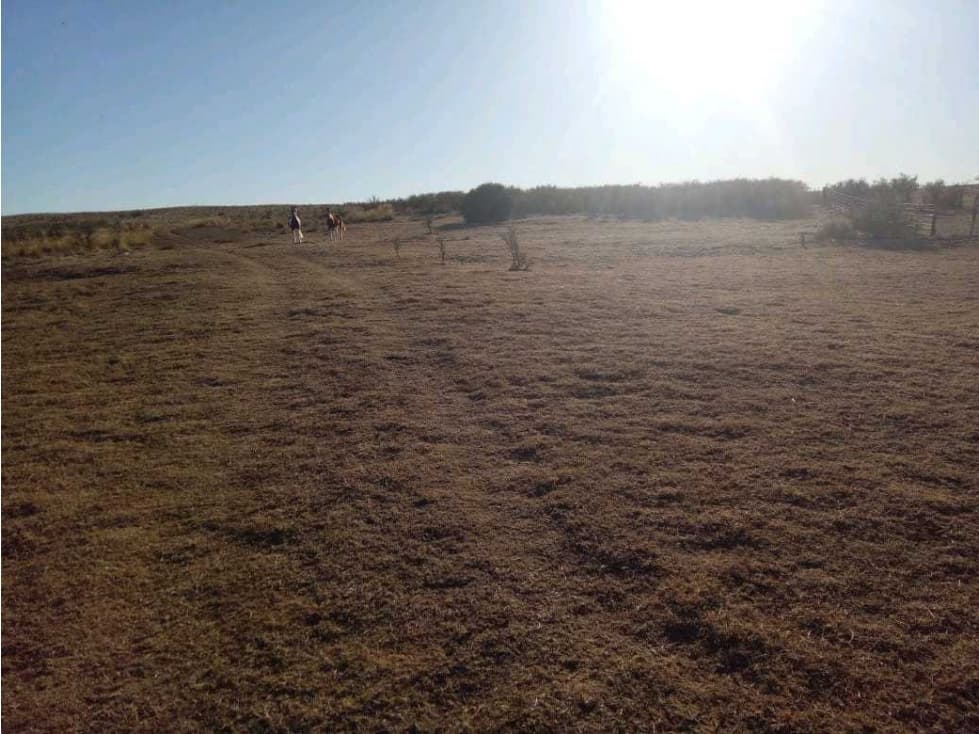 CAMPO 1784 HAS GANADERO, VILLA MERCEDES, SAN LUIS,ARGENTINA - 1